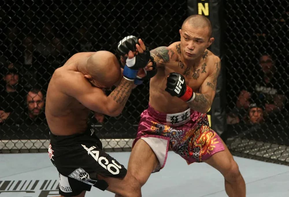 MMA article image