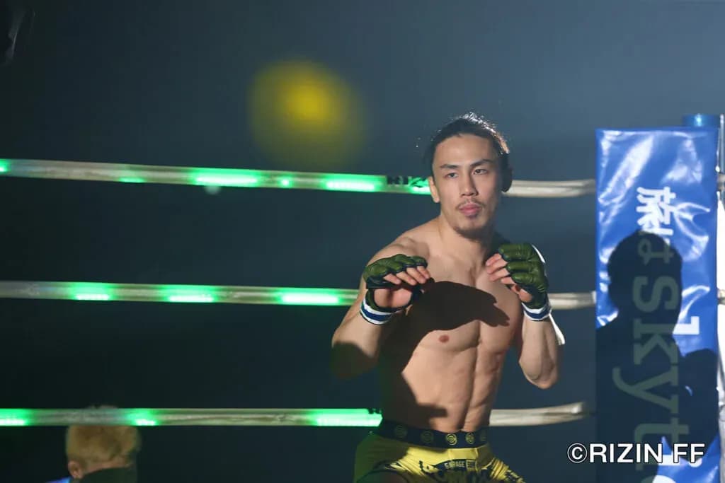 MMA article image