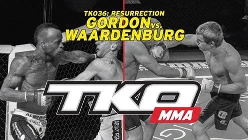 MMA article image