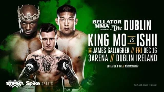 MMA article image