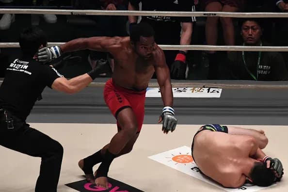 MMA article image