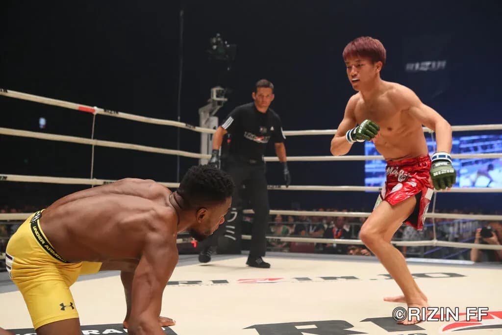 MMA article image