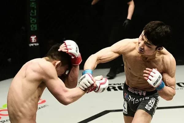 MMA article image