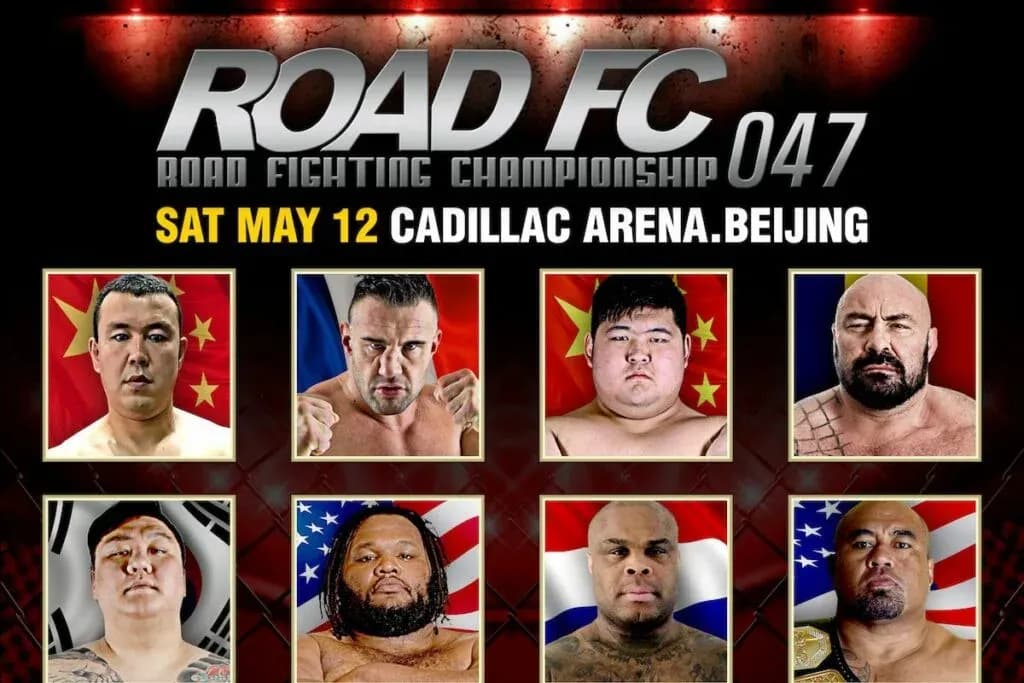 MMA article image