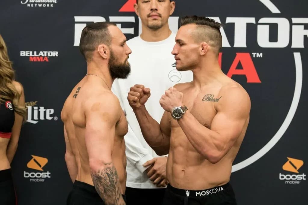 MMA article image