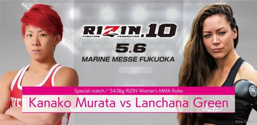 MMA article image