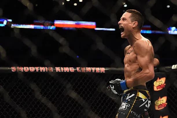 MMA article image