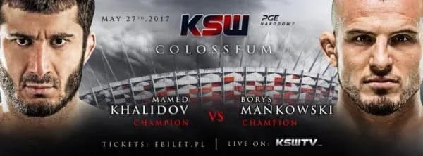 MMA article image