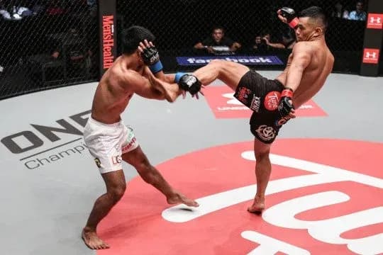 MMA article image