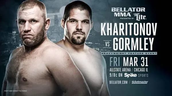 MMA article image
