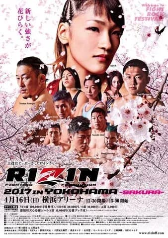 MMA article image