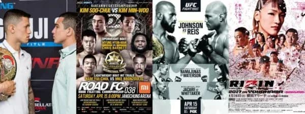 MMA Fight Night Poster