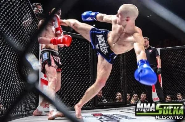 MMA article image
