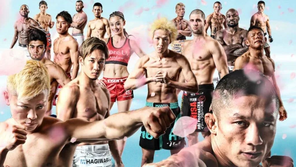 MMA article image