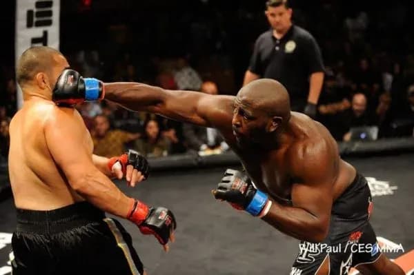 MMA article image