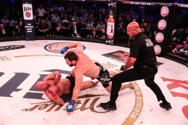 MMA article image