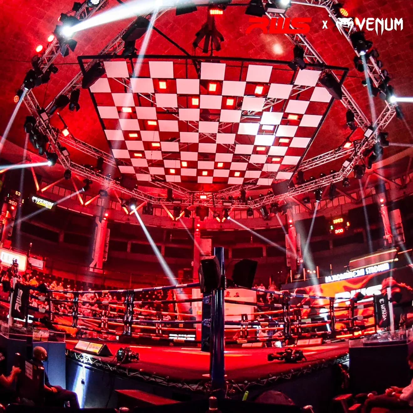 MMA article image