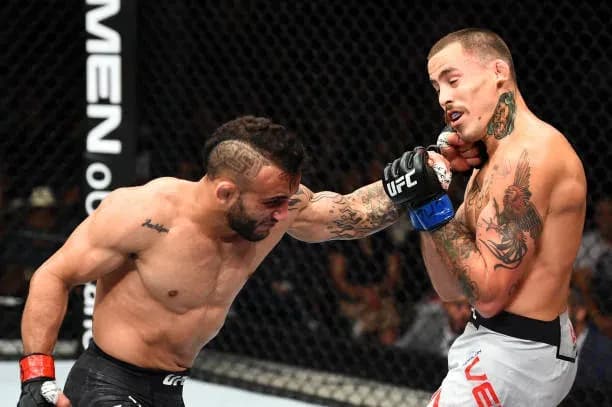 MMA article image