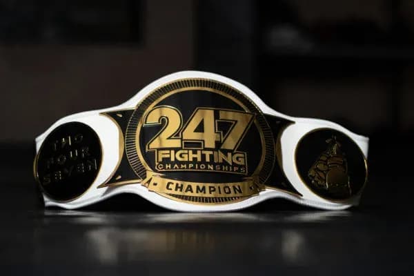MMA article image
