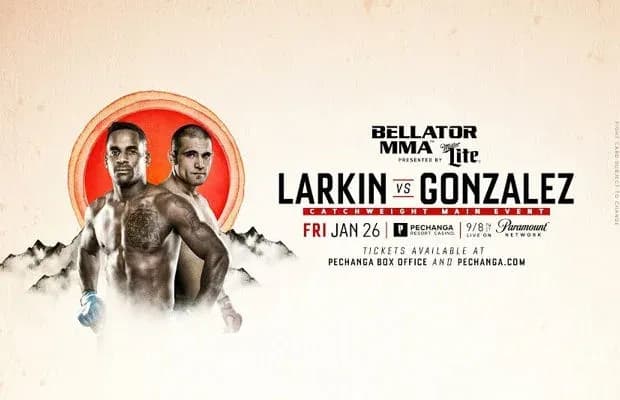 MMA article image