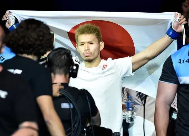 MMA article image