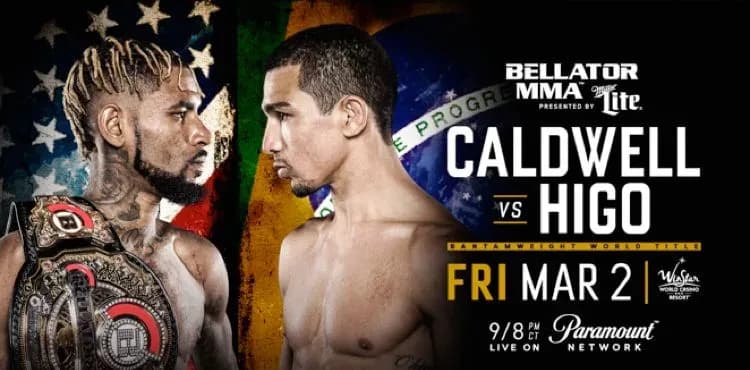 MMA article image