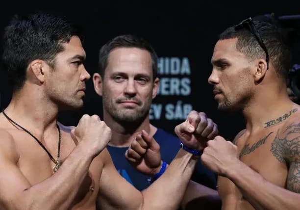 MMA article image