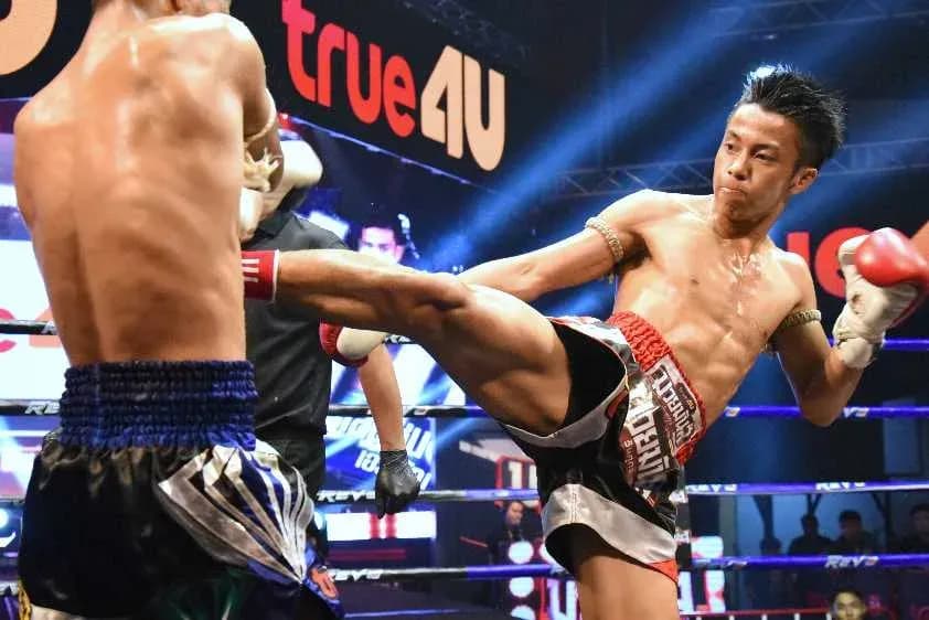 MMA article image