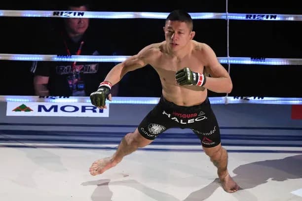 MMA article image