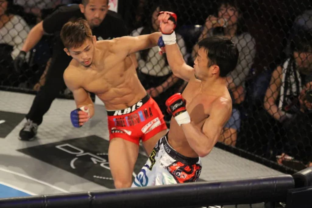 MMA article image