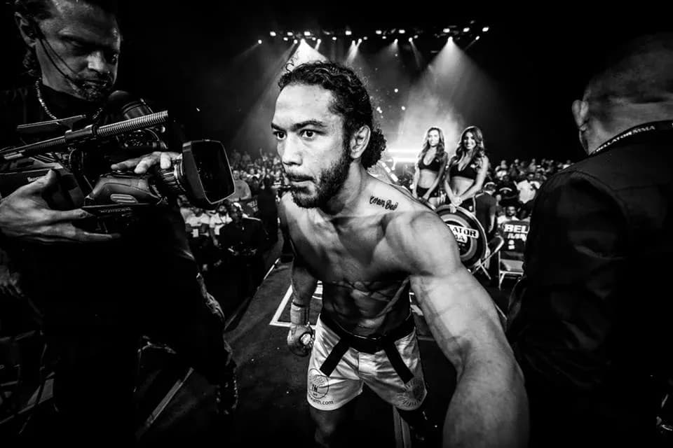 MMA article image