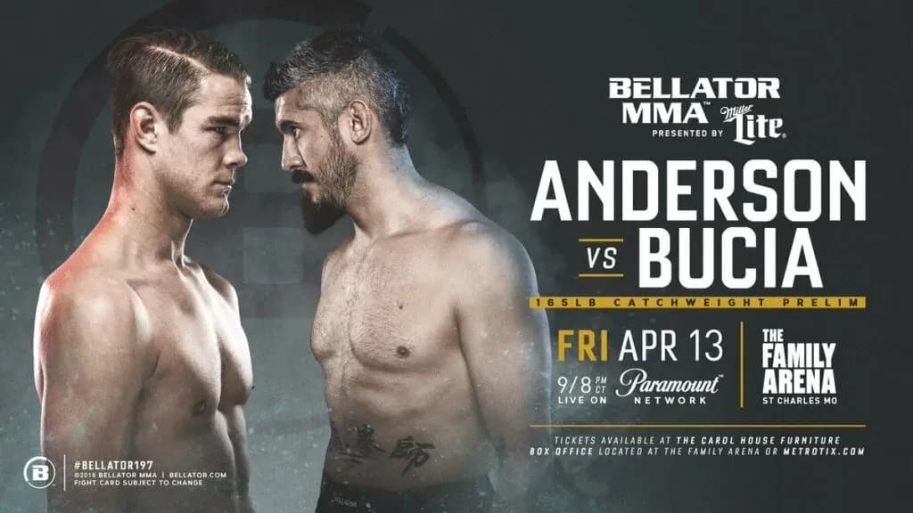 MMA article image