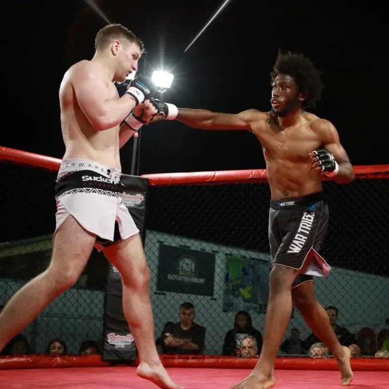 MMA article image