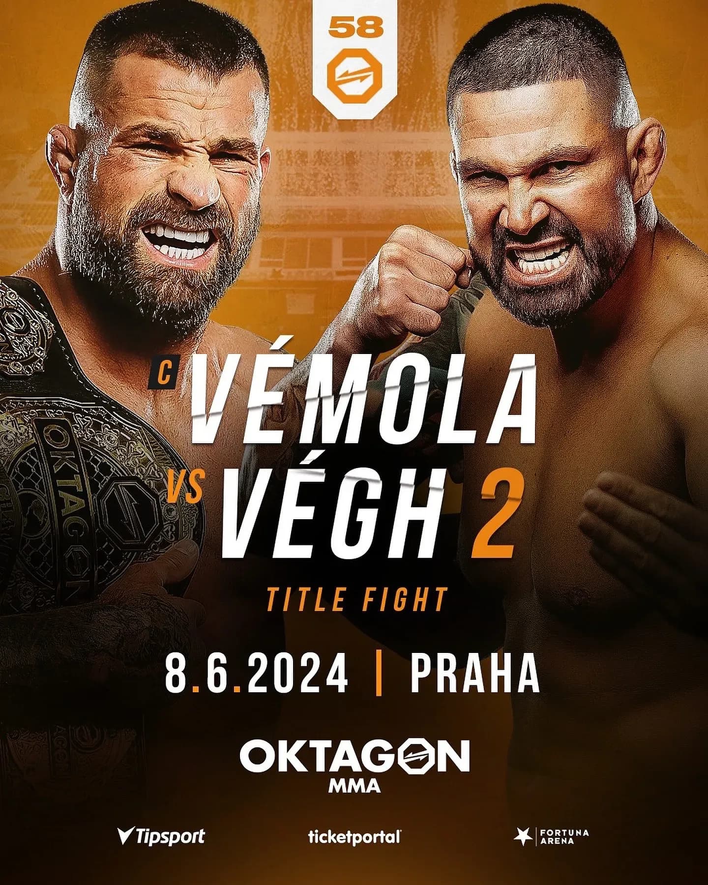 Vemola vs. Vegh II