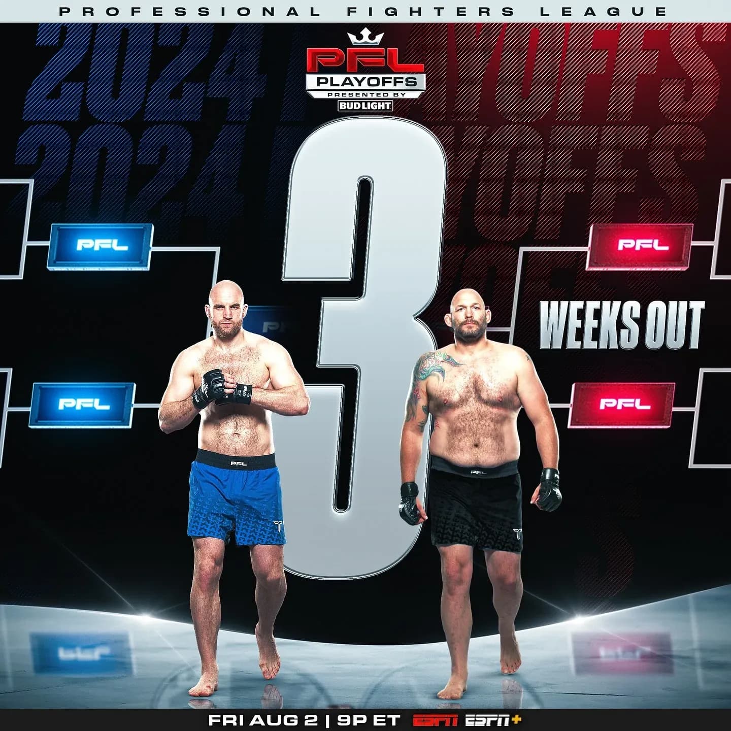 Goltsov vs. Johnson