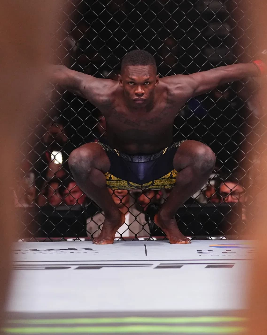 What's next for Israel Adesanya after his loss over the weekend?