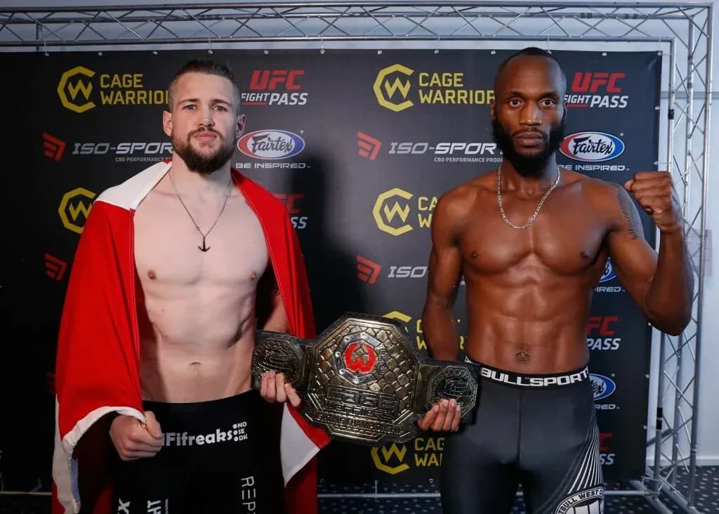 MMA article image