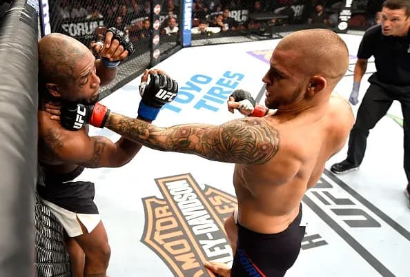 MMA article image