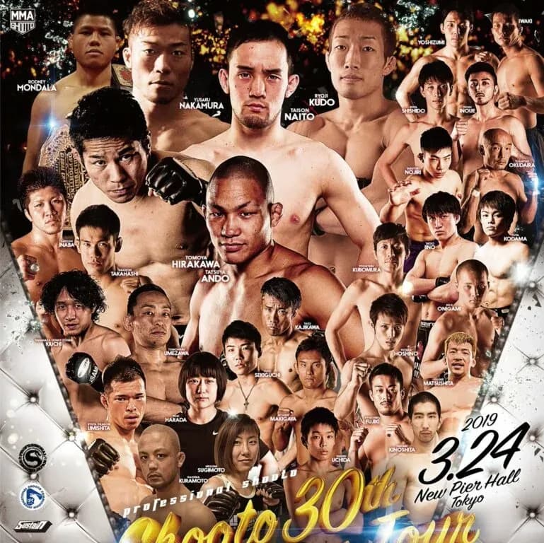 MMA article image