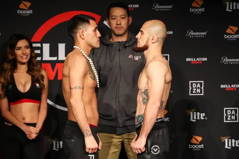 MMA article image