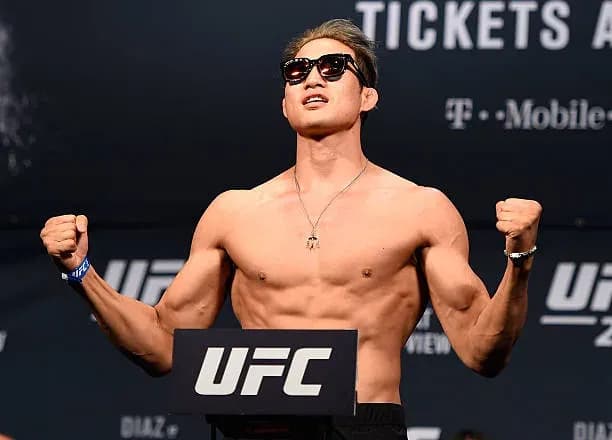 MMA article image