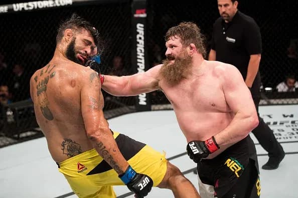 MMA article image