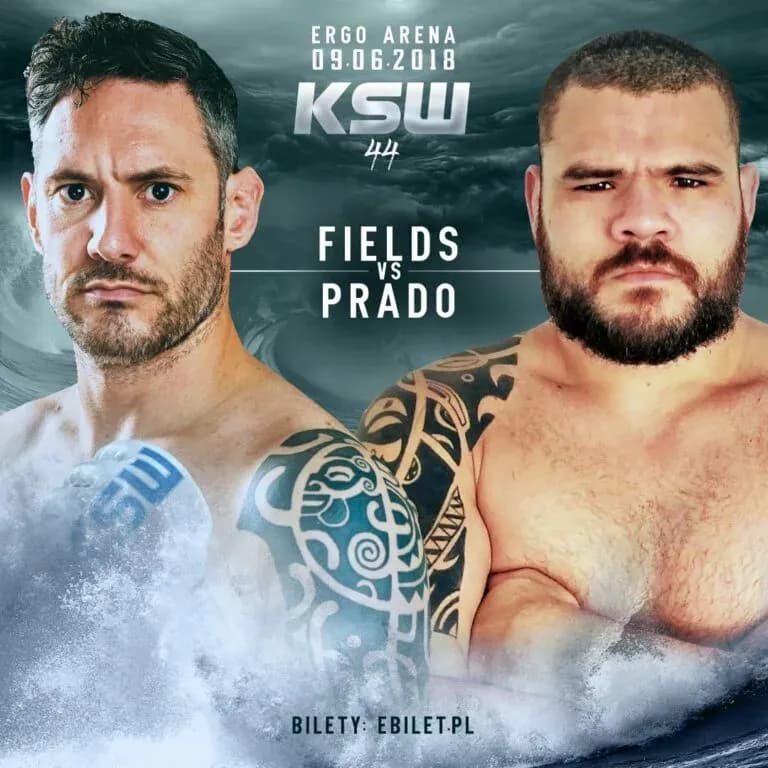 MMA article image