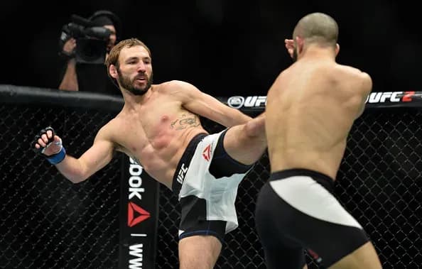 UFC 206