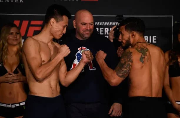 MMA article image