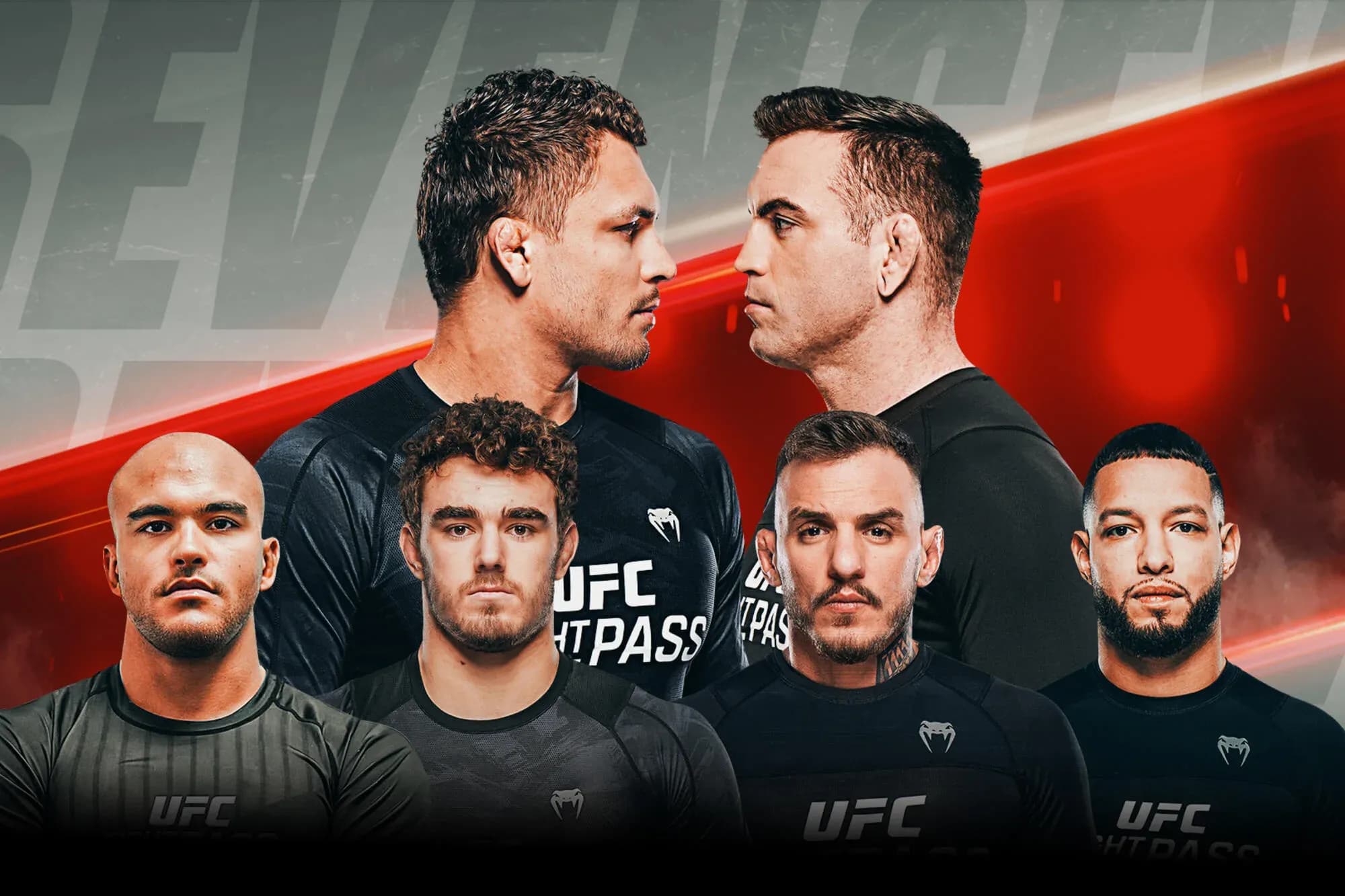 MMA article image