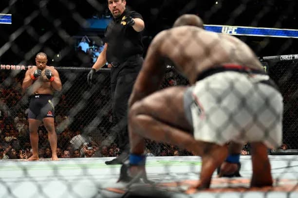 MMA article image