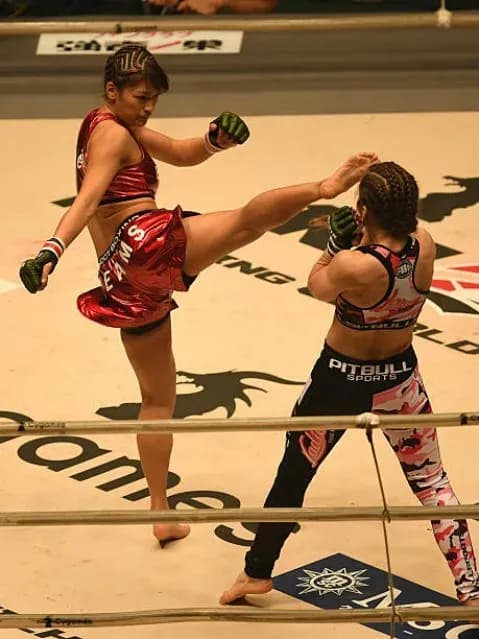 MMA article image