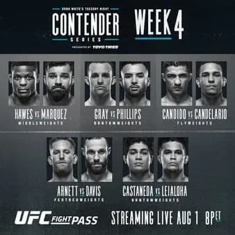 MMA article image