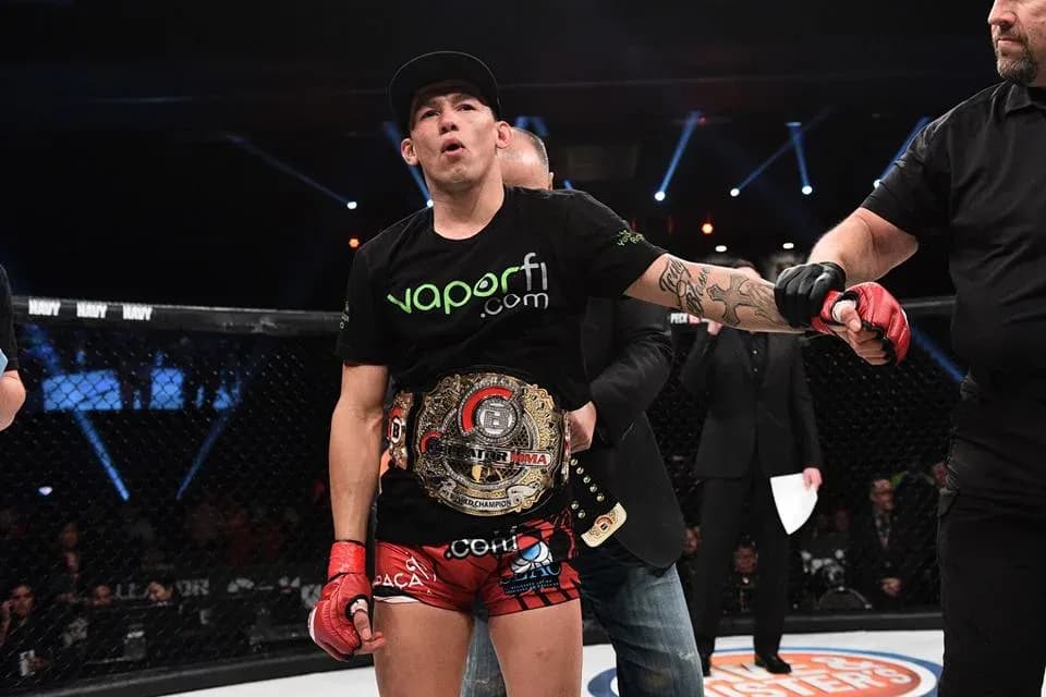 MMA article image